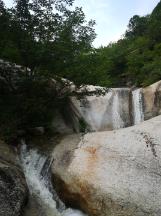 解密吉鹿力问答社区,顿涅茨克市非常注重体育建设,当地在运动项目上取得过怎样的成绩?服务你的疑问